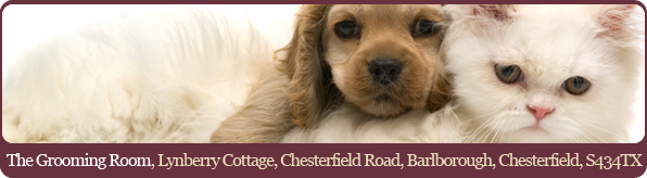 grooming parlour | cats and dogs | Chesterfield